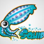 squid proxy