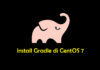 Cara Install dan Konfigurasi Gradle di CentOS 7