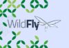 Cara Install dan Konfigurasi WildFly di CentOS 7