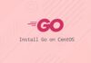 Tutorial Download dan Install Go di CentOS 8