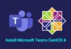 Cara Install Microsoft Teams Linux di CentOS 8