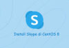 Cara Install dan Konfigurasi Skype di CentOS 8