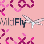 Cara Install dan Konfigurasi WildFly (JBoss) di Debian 9