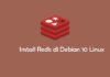 Cara Install dan Konfigurasi Redis di Debian 10 Linux