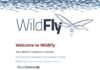 Welcome to WildFly