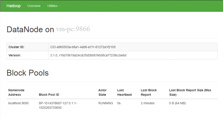 hadoop-31 datanode