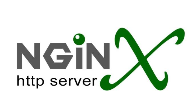 Perintah Dasar Untuk Manajemen Nginx services