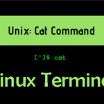 Menggunakan Command Cat Pada Linux Terminal