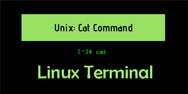 Menggunakan Command Cat Pada Linux Terminal