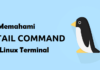 Memahami Tail Command pada Linux Terminal