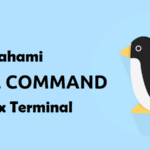 Memahami Tail Command pada Linux Terminal