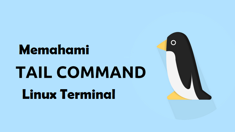 Memahami Tail Command pada Linux Terminal