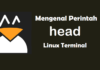 Mengenal Perintah Head Pada Linux Terminal