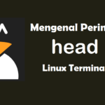 Mengenal Perintah Head Pada Linux Terminal