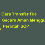 Cara Transfer File Secara Aman Dengan Perintah SCP