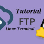 Tutorial Perintah FTP Untuk Transfer Files di Terminal