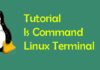 Perintah ls di Linux Terminal dan Contoh Penggunaan