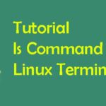 Perintah ls di Linux Terminal dan Contoh Penggunaan