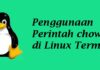 Penggunaan perintah Chown Linux Terminal