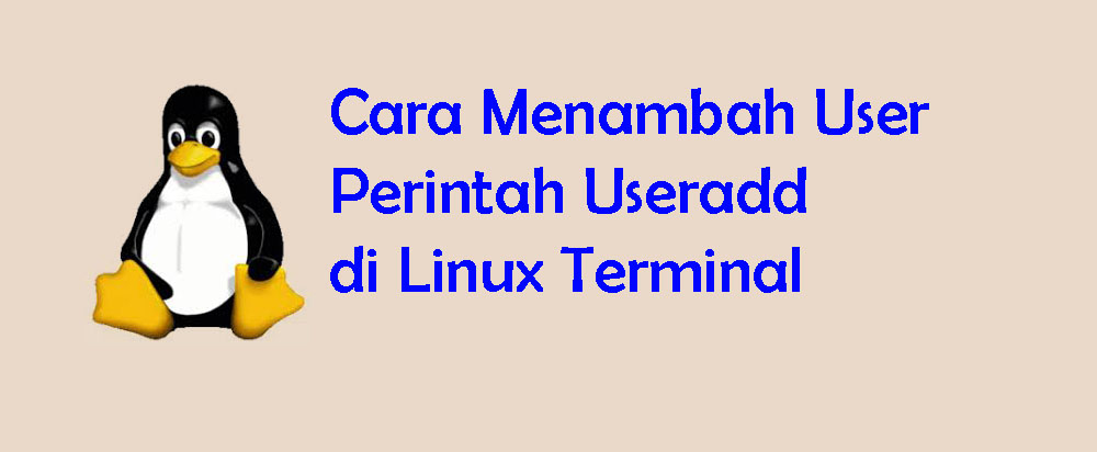 Membuat User di Linux dengan Perintah useradd