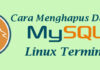 Cara Menghapus Database MySQL di Linux Terminal