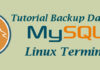 Tutorial Backup Database MySQL dengan mysqldump.jpg