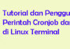 Tutorial dan Penggunaan Crontab di Linux Terminal