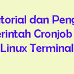 Tutorial dan Penggunaan Crontab di Linux Terminal