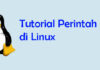 Tutorial Lengkap Perintah Unzip di Terminal Linux