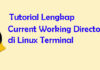 Mengenal Current Working Directory di Linux Terminal