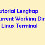 Mengenal Current Working Directory di Linux Terminal