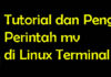 Tutorial Perintah mv dan Penggunaan di Linux Terminal