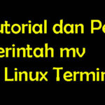 Tutorial Perintah mv dan Penggunaan di Linux Terminal