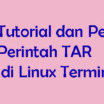 Tutorial dan Penggunaan Perintah TAR di Linux Terminal