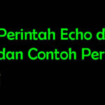 Perintah Echo di Linux dan Contoh Perintah Echo