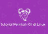 Hentikan Program di Linux dengan Perintah Kill