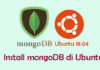 Tutorial Install dan Konfigurasi MongoDB di Ubuntu 18.04