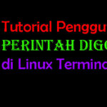 Tutorial Lengkap Perintah Dig untuk Query DNS di Linux