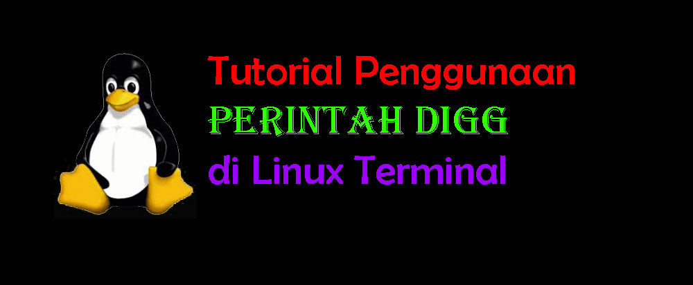 Tutorial Lengkap Perintah Dig untuk Query DNS di Linux