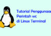 Perintah wc di Linux Terminal