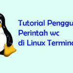 Perintah wc di Linux Terminal