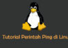 Tutorial Penggunaan Perintah Ping di Linux Terminal