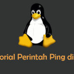 Tutorial Penggunaan Perintah Ping di Linux Terminal