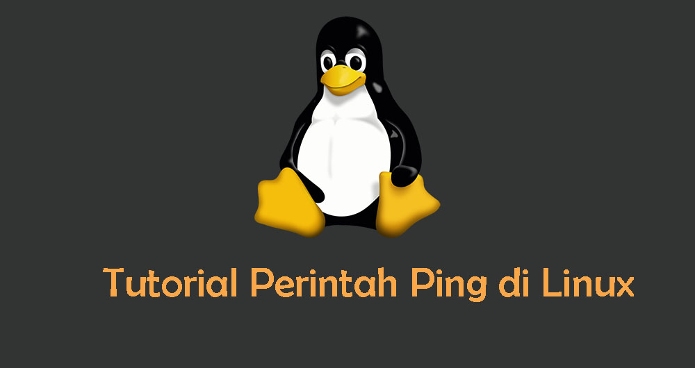 Tutorial Penggunaan Perintah Ping di Linux Terminal