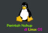 Cara Menggunakan Perintah Nohup di Linux