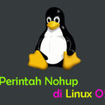 Cara Menggunakan Perintah Nohup di Linux