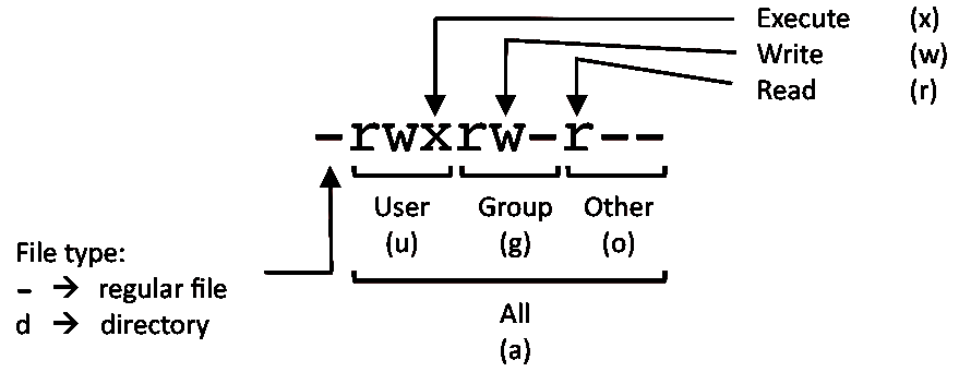 Contoh Linux chmod