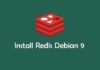 Cara Install dan Konfigurasi Redis di Debian 9