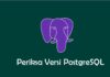 Periksa Versi PostgreSQL