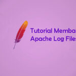 Tutorial Konfigurasi Apache Error dan Access Logs